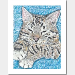 Tabby cat Posters and Art